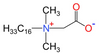 Hexadecil dimetil beta&iacute;na (BS-16) CAS: 693-33-4