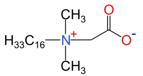Hexadecil dimetil beta&iacute;na (BS-16) CAS: 693-33-4